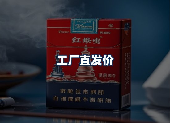 专业团队办公环境